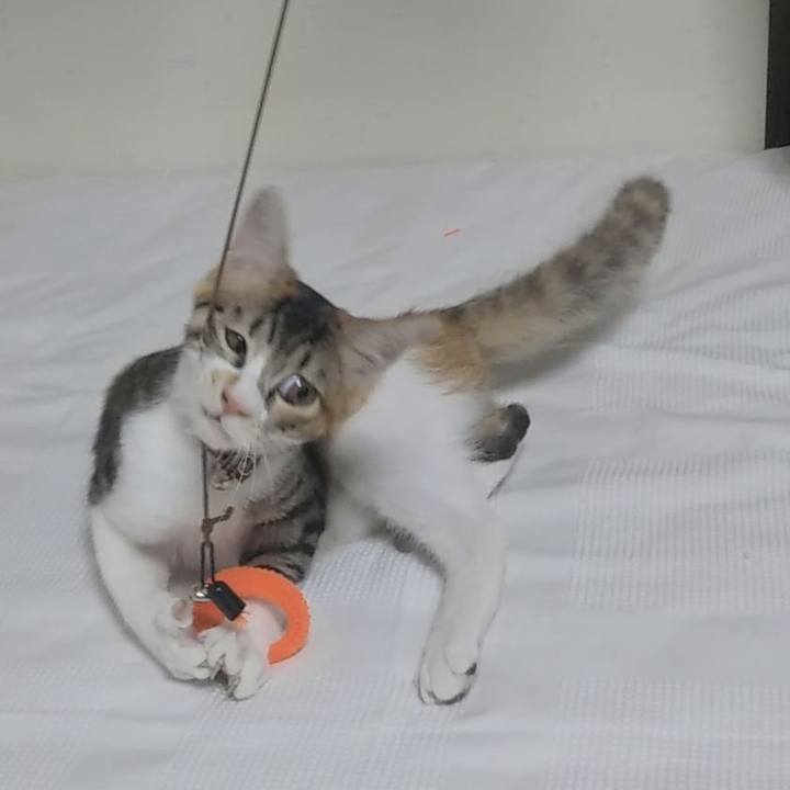 7f6012d8 6839 4342 9d4a 3897dadecb7a 1630840290824