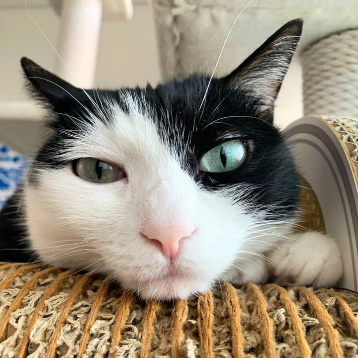 7f602051 978e 4223 b706 488246bcf5af 1558736619200