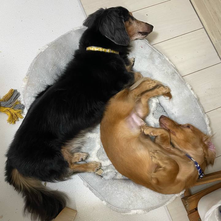 7f603ce1 6eed 4809 94f6 2b54fc08a69b 1730471819153