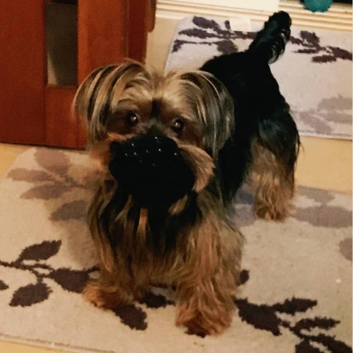 7f6045c5 ed54 448d 825a 4df51ca3627b 1527330366239