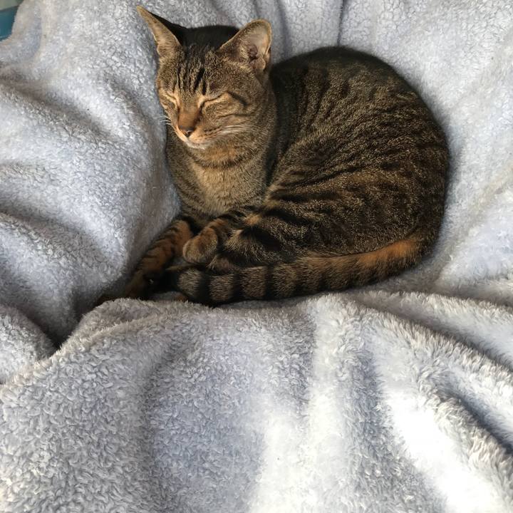 7f6073eb 8a6e 435c 86c2 d73c5b6cf77a 1517878352717