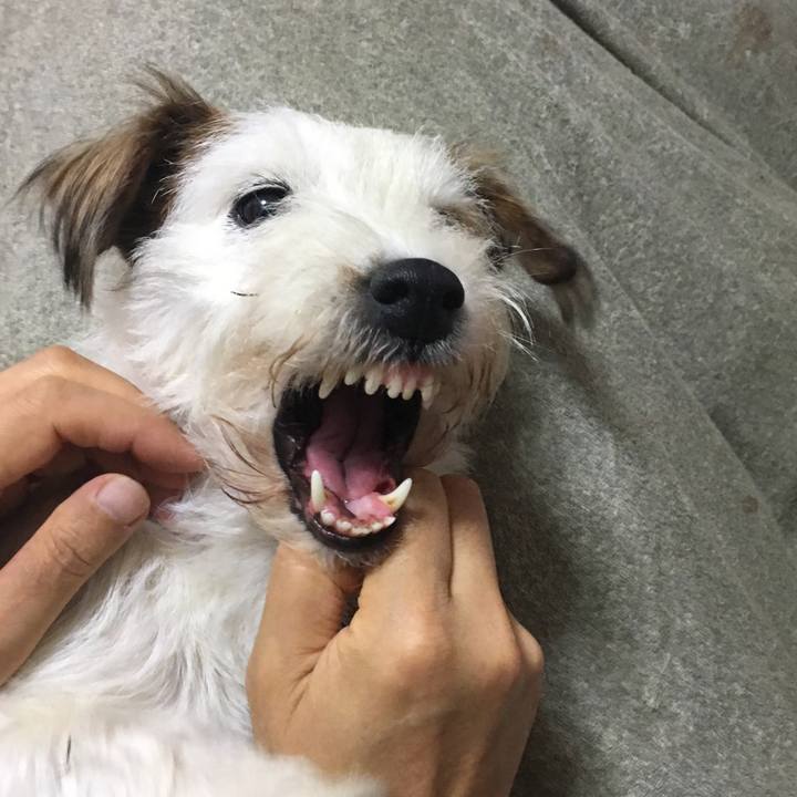 7f60d3b5 bd97 4006 9141 968e72a79901 1542417533017