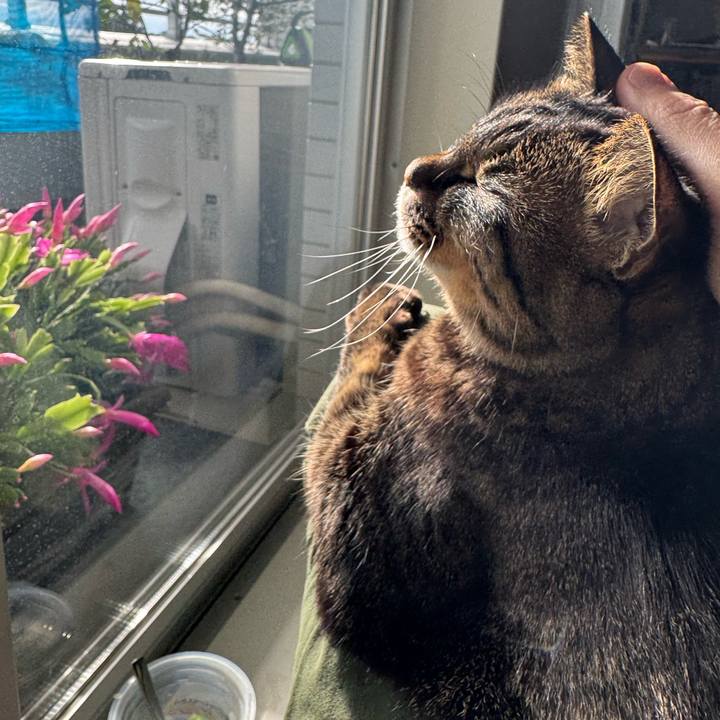 7f60d6c5 c99f 45e8 b85b db76a7cf1051 1767422177735