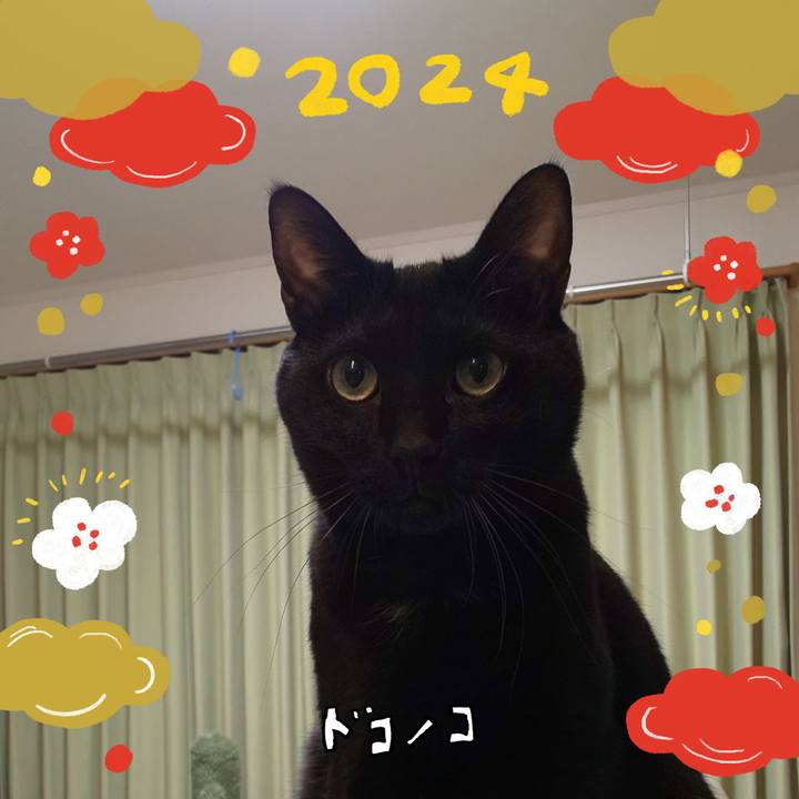 7f6105f4 d230 45d7 9099 16d032e6e529 1704098936839