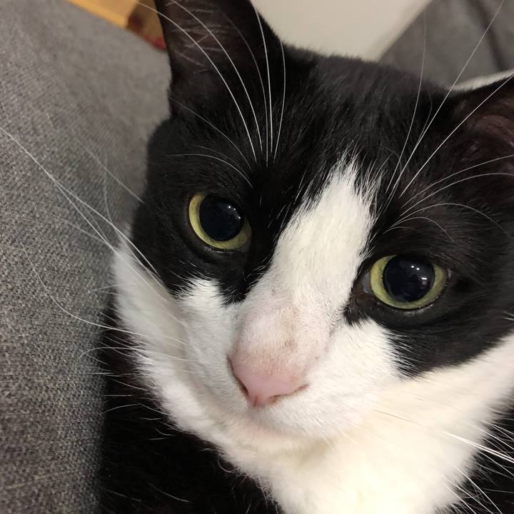 7f610e9b f717 4124 a6b8 ff9f951ff6dc 1566043206697