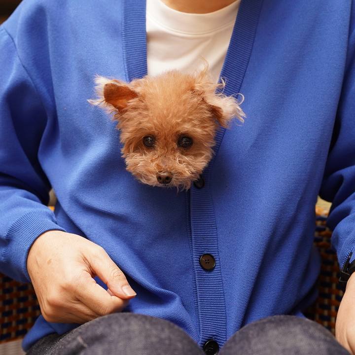 7f611f04 ec5c 409e 9a0b c08e7e85956c 1698576374741