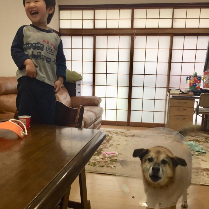 7f614bec 818e 439e be6c 24eb19d8759a 1556668069280