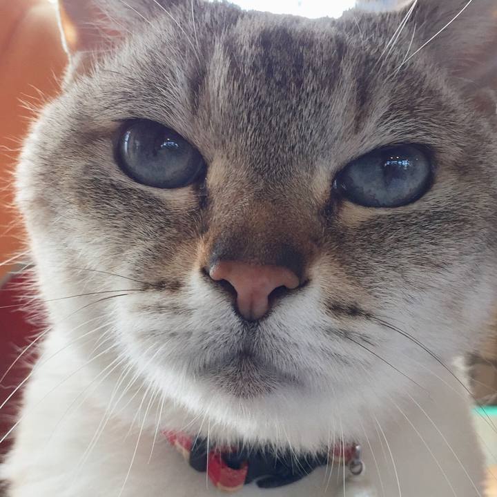 7f614c80 1454 4f93 8a8d 7ec6231149f7 1554445339302