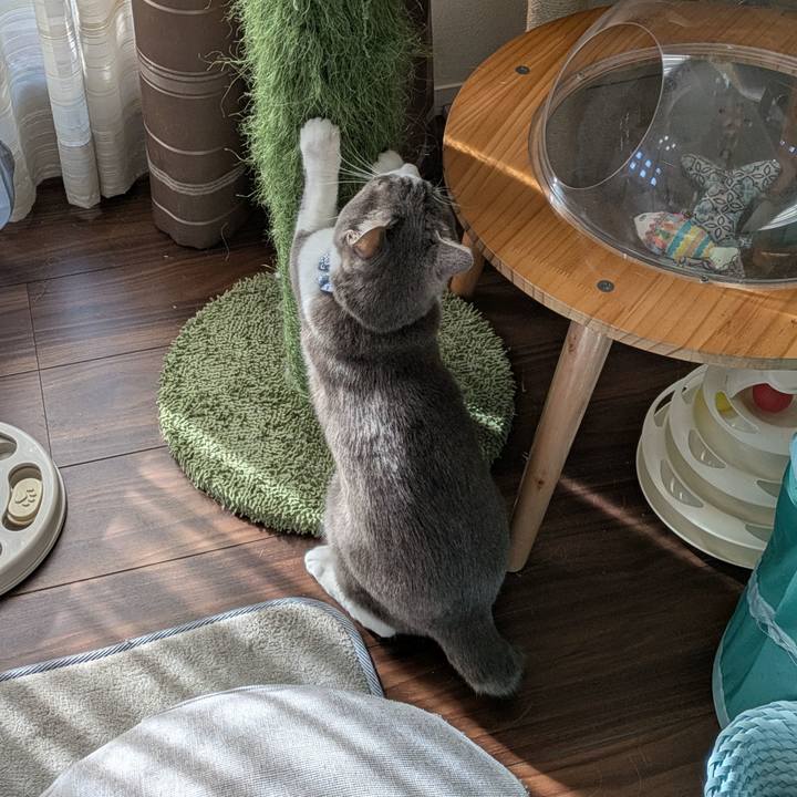 7f614e6d 3cf3 48eb bdfb 2c60b6e583b0 1738376620470