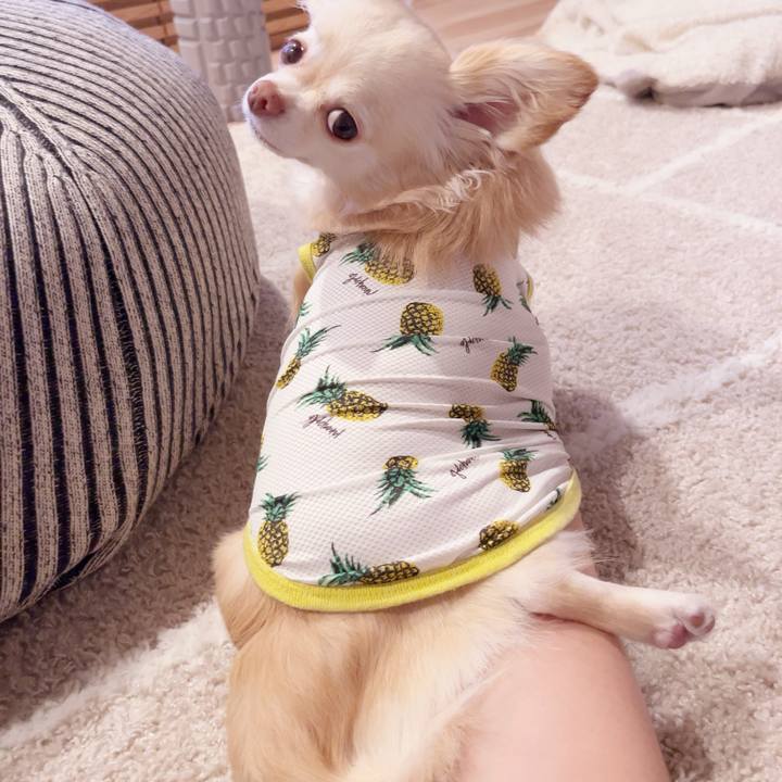 7f614eab 7ed4 4e66 b9e2 a8d892217faa 1749965455152