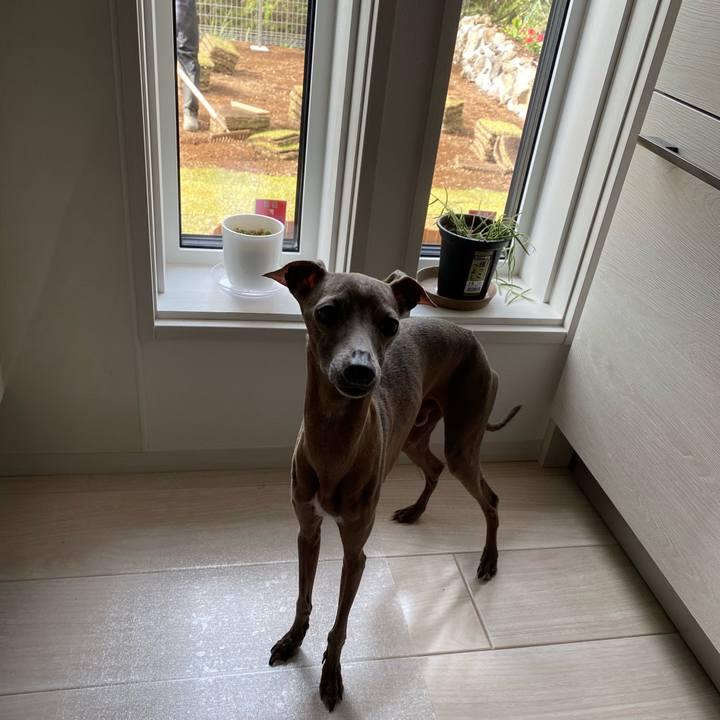 7f615933 4860 4ef2 af59 c8e079c65a52 1757979856798