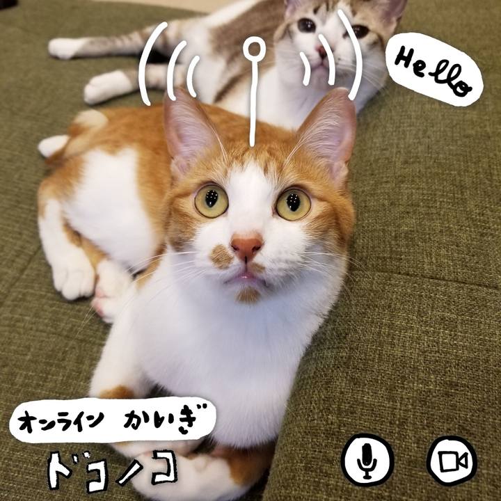 7f616e65 3edc 44fc b654 e4a856992012 1590678905226