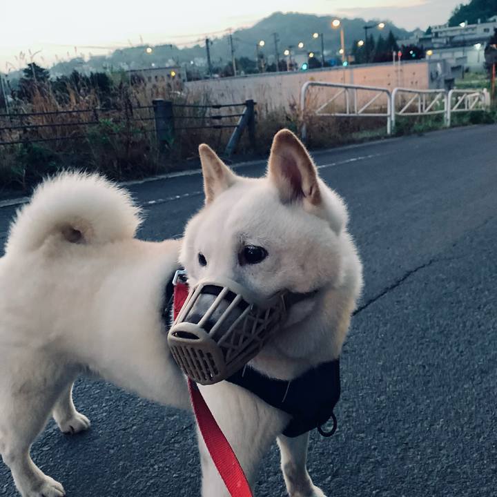 7f61820c eab6 473b ad53 6dabd4633231 1628020784043