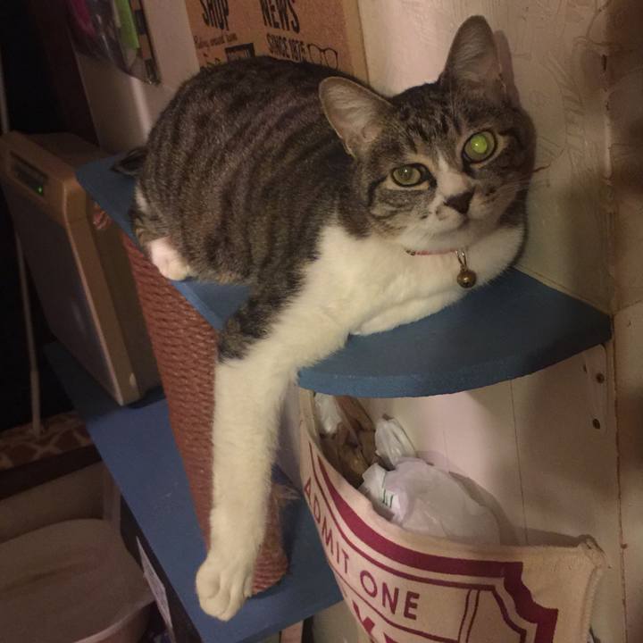 7f618ea8 0d69 4e4e 8087 969aa34e0593 1561642397462