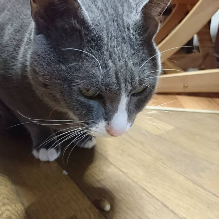 7f61ae85 d7c0 459a 8859 09cfe5233a9f 1510873453775