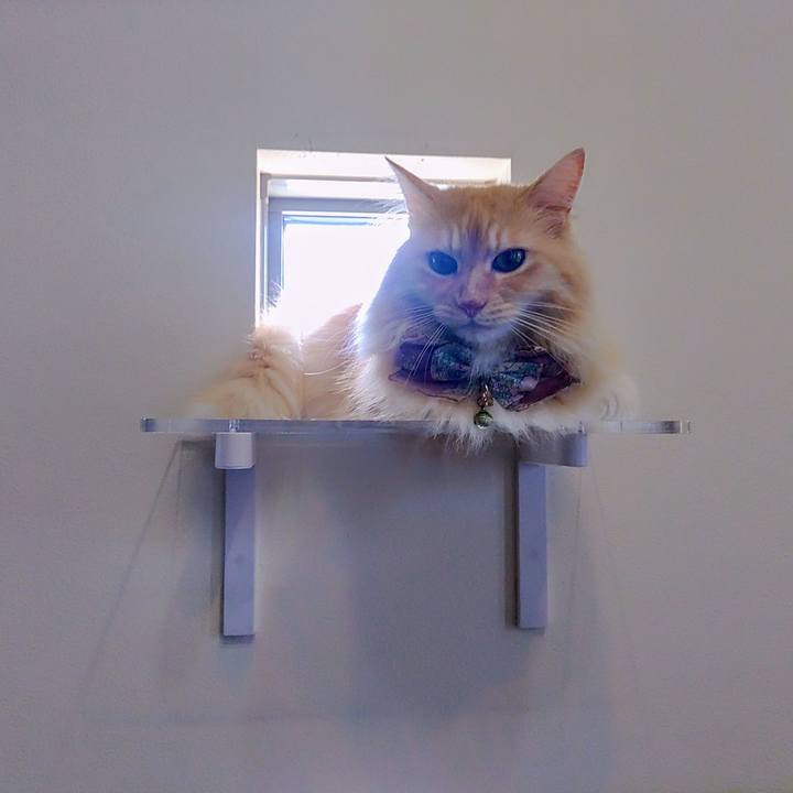 7f61b547 9183 4b66 97a3 912d68469e38 1724486189137