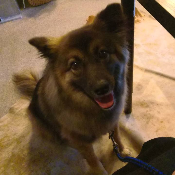 7f61c6d4 a526 43b4 bb8d 3e7fe59e6af2 1764397837229