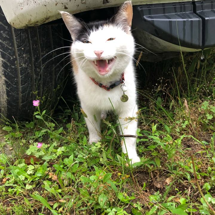 7f61fe24 3fc0 4bf6 823e 77c93908dd16 1623967232429