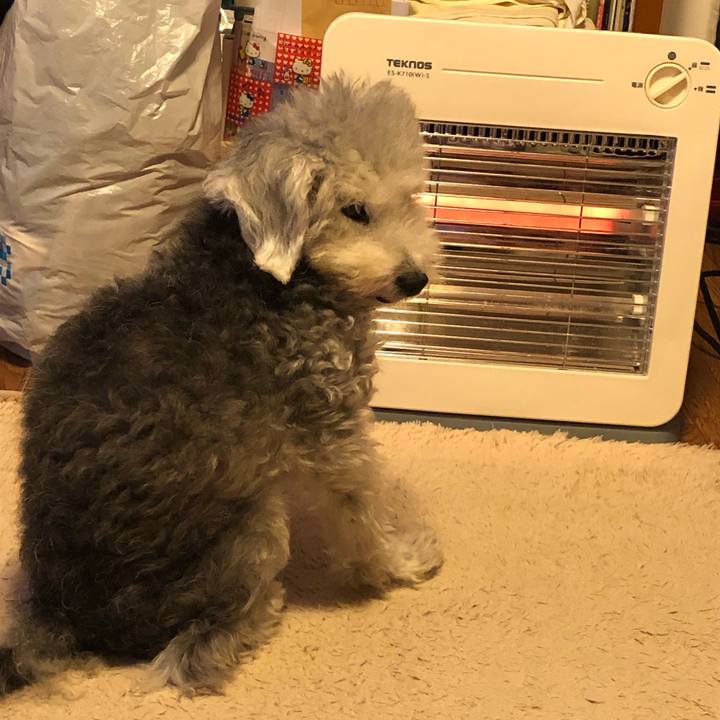 7f6240d3 529e 4f2e b1ac 42dd17c044bb 1665048288679