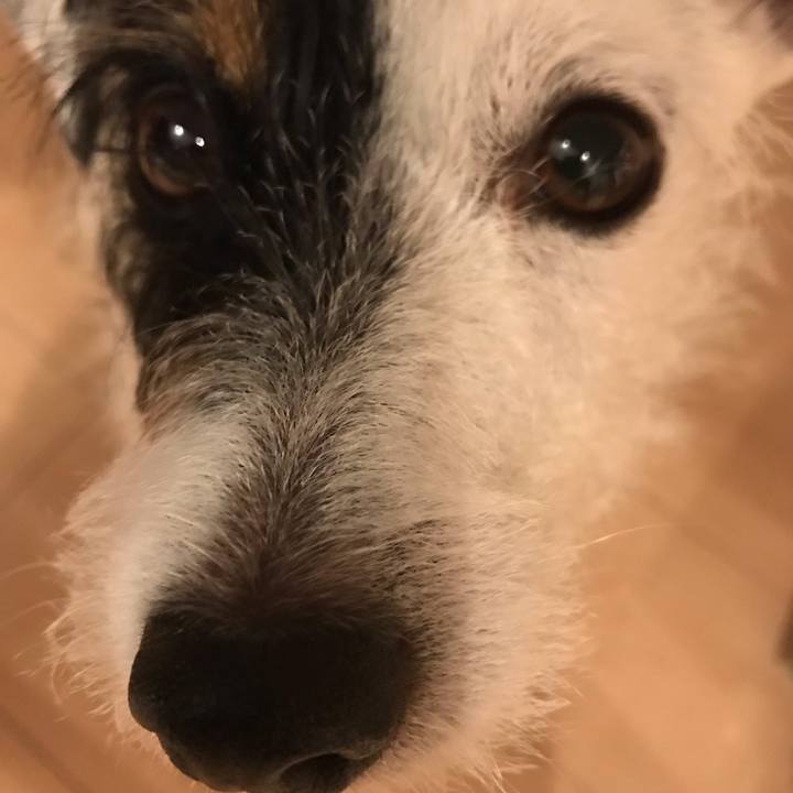 7f6270a3 915e 4e3b 8242 3ebe9f080967 1540721092808