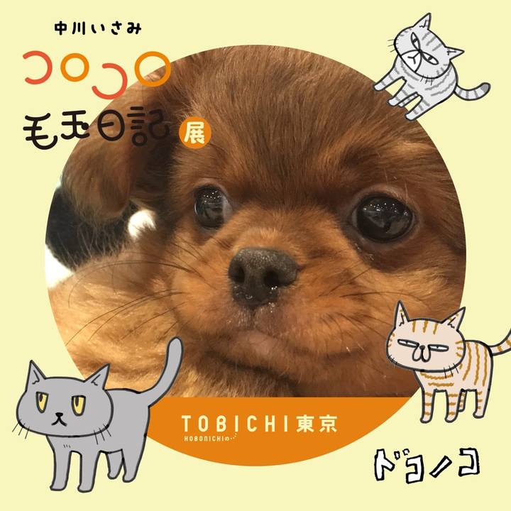 7f628d97 c854 4fb1 ac34 d0eaf8b5ae84 1740129861459