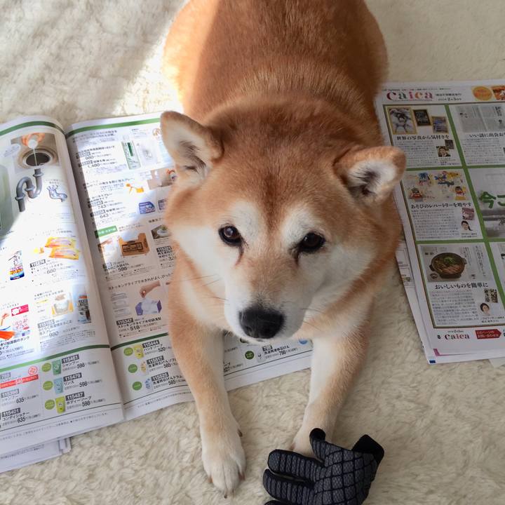 7f62b2e1 019e 4bd3 b62a f9ae3adc076d 1612832121276