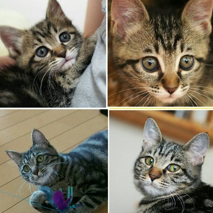 7f62be3c 75a2 42b4 b4d4 a4b164b385b8 1529380672523