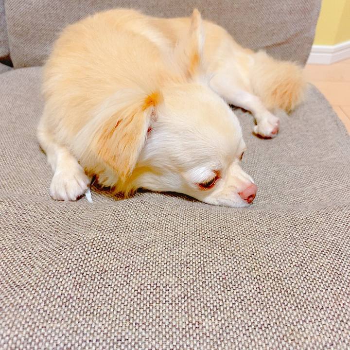 7f62df13 0368 4226 a0ee ee54b87d33d7 1633787500572