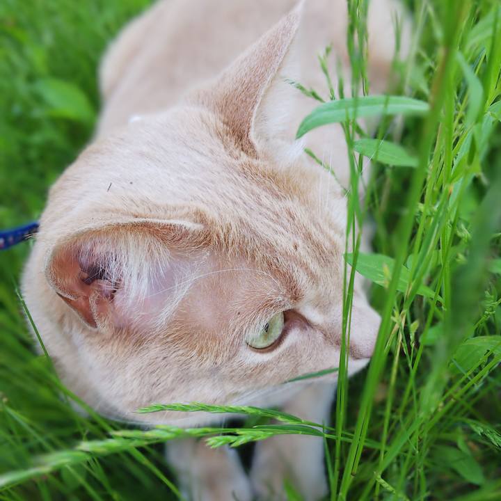 7f63143d cc2e 4ee2 9c26 13867e33059a 1623290302859