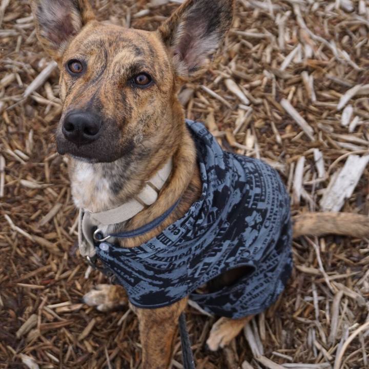 7f631b42 ff58 4300 a3be db722336eba3 1582284981952