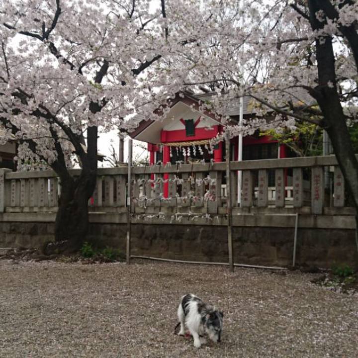 7f639aba 90e1 4acd 8bfd 37811870796a 1554882981421