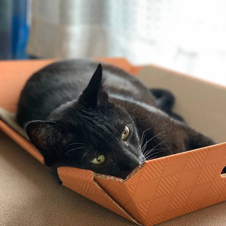 7f63a482 8159 4e87 9de5 f24310c3ad6b 1592960022256