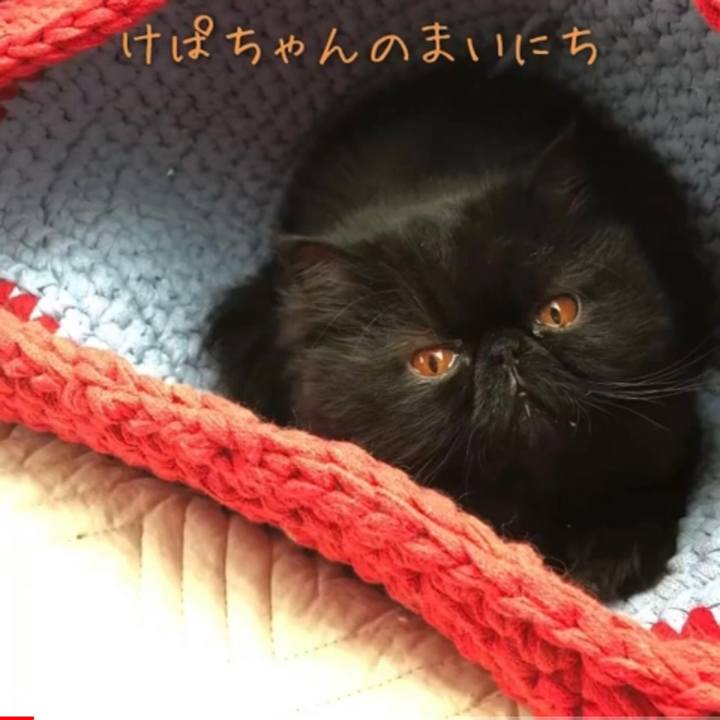 7f640c89 fc67 464f 9e1a a94b62feefc5 1620912709186