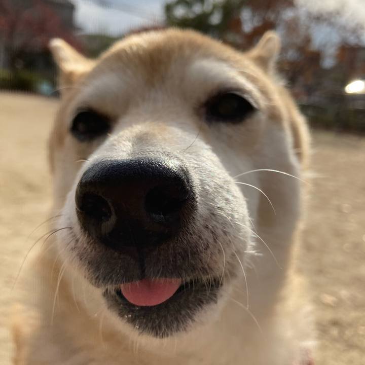 7f643e89 935b 4281 be86 9519d8e6b864 1638791269341