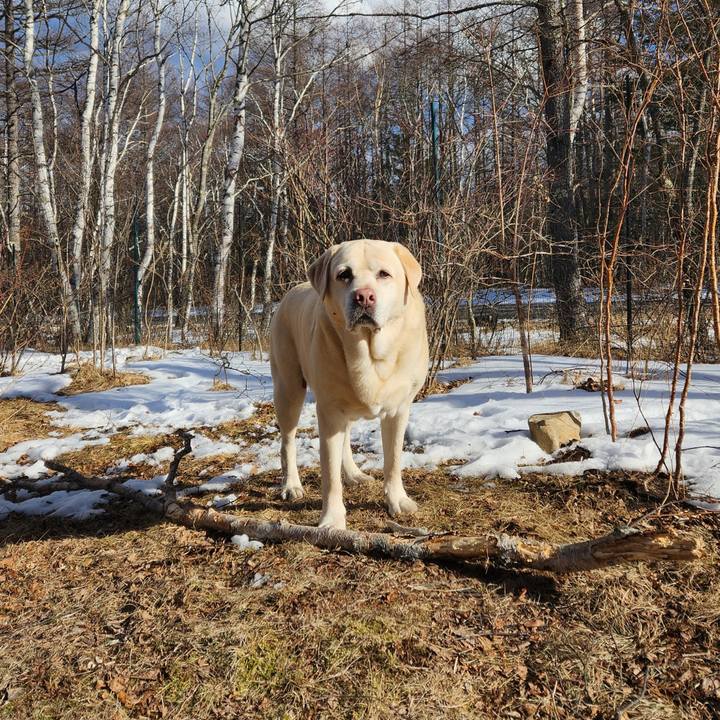 7f64490c be78 4b64 90d0 fb211b3b76d3 1770425878939