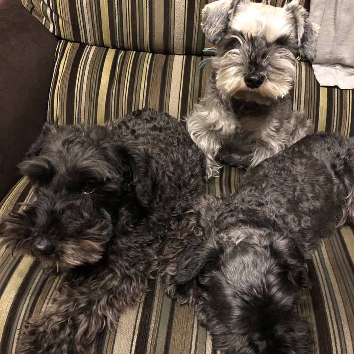 7f64650e d548 4c58 81d0 6798c263cf60 1583932870917