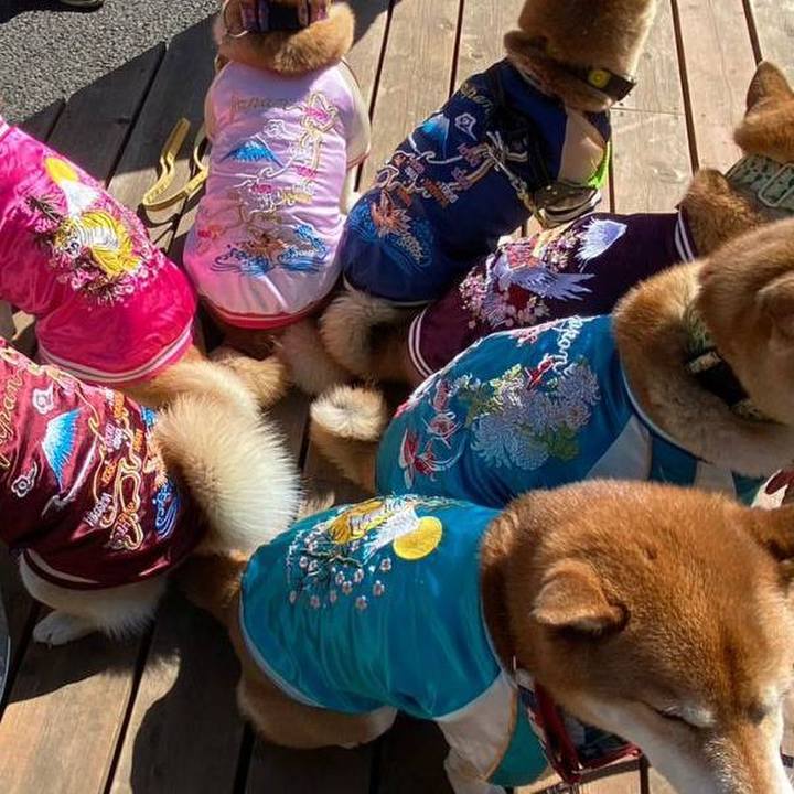 7f64772f b7d4 4f1a 92c7 8597ca59e760 1677467783672