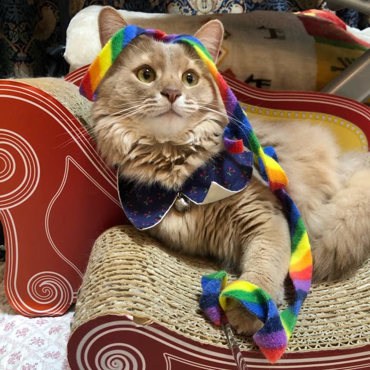 7f648e65 a0ab 4fdf abdd f15c2d97b410 1647661088866