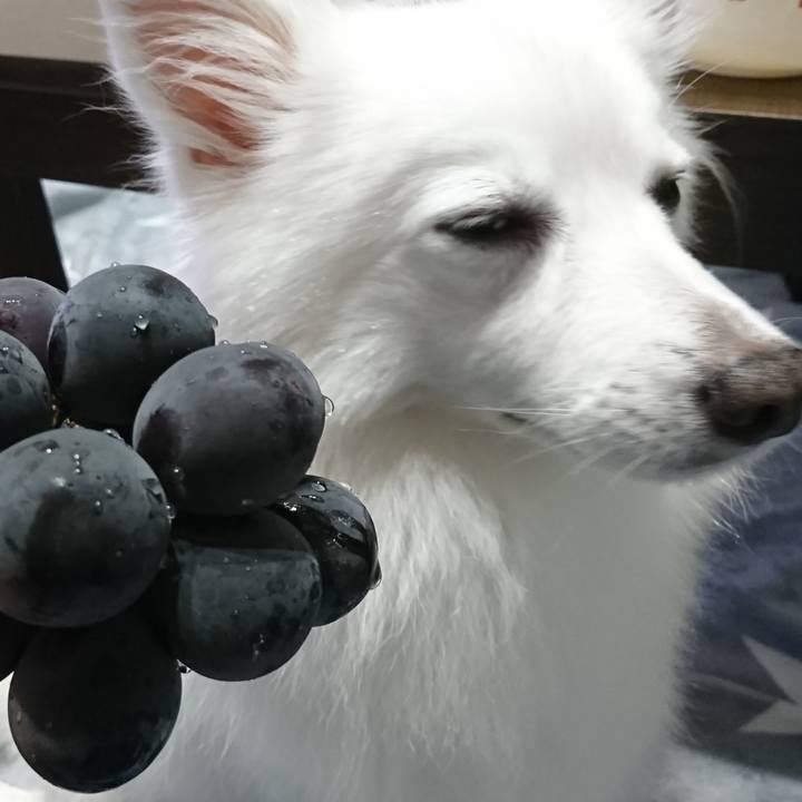 7f64c8c9 8396 4d40 9e78 f9c227f31710 1600002759031