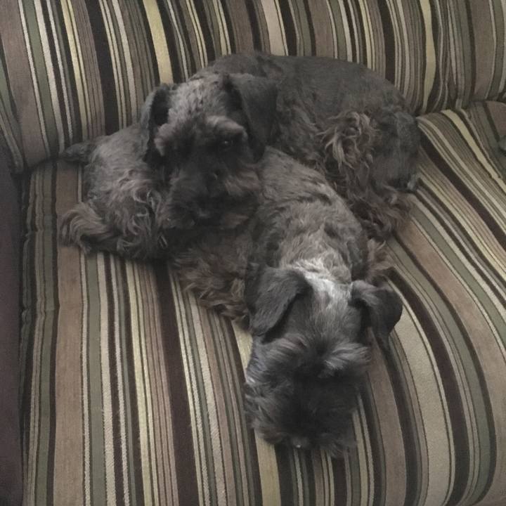 7f64eb88 df82 4cb1 85e2 7117b34f7a06 1675215935271