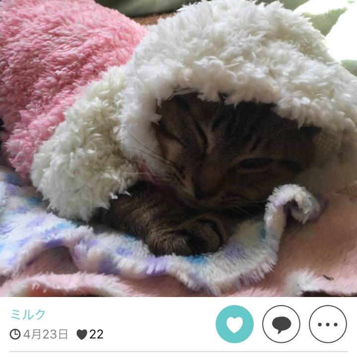 7f650b6a 108b 46ad 85e6 06f6b02af804 1511690192400