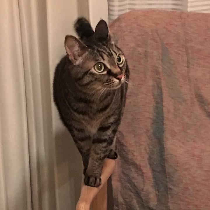 7f654ab8 4330 4322 ac1e cffd06b14274 1553993101759