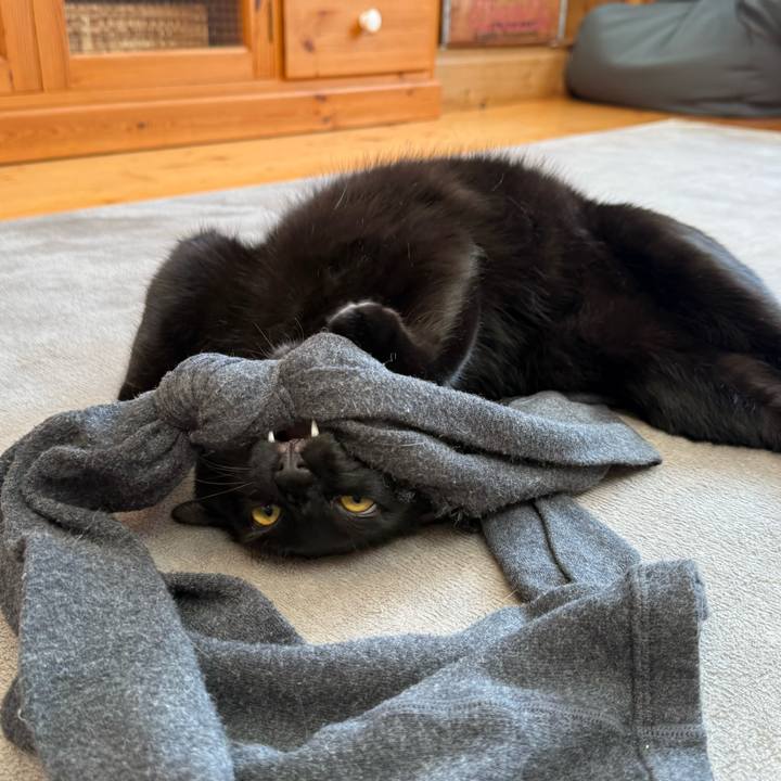 7f659da3 685a 42cf 869e a35d084488fa 1769331759921