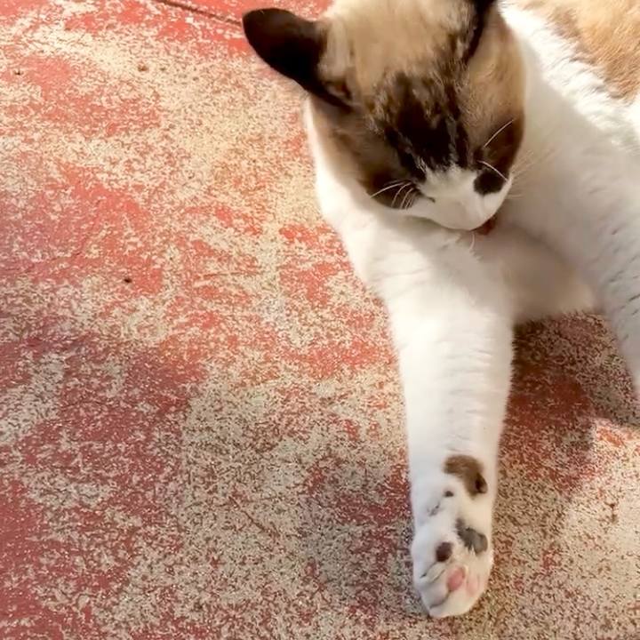 7f65a9ee 946b 4756 b744 c8e8fe9631e2 1731295706443