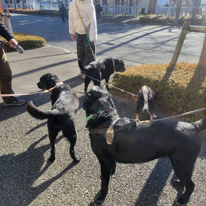 7f65b889 642c 4824 bdc9 cf51e64d368b 1767234412646