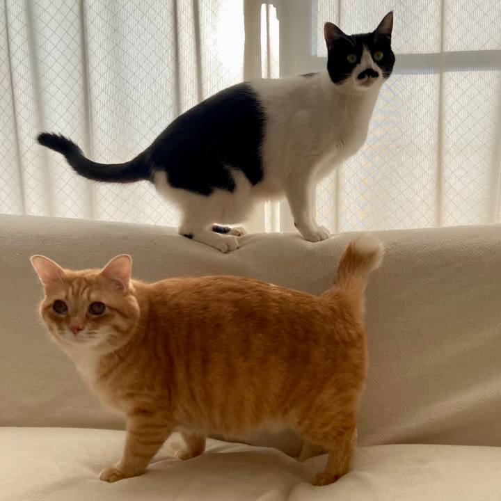 7f65d0ff a2c6 4cde bf5a b31538117525 1769211254213