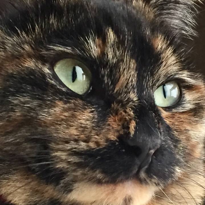 7f661e30 e8b1 4206 9b7c 936e4f82f61e 1608384852671