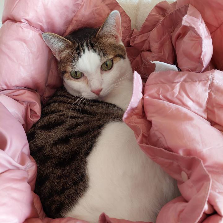 7f664c18 ab5a 4297 b10e bd00d315633a 1668728647943