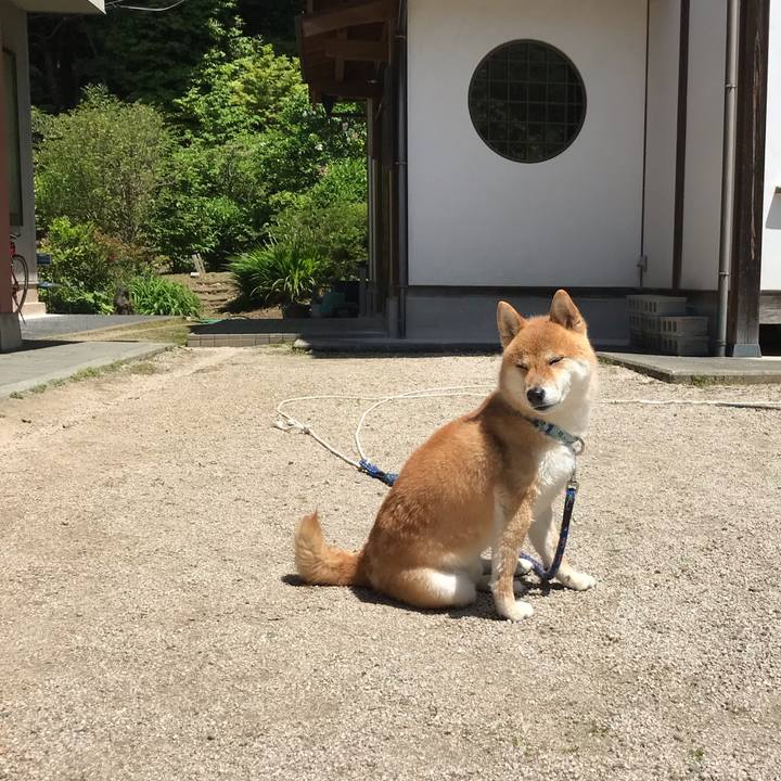 7f66575c ffeb 45d9 be62 c74432f45cdc 1589192755912