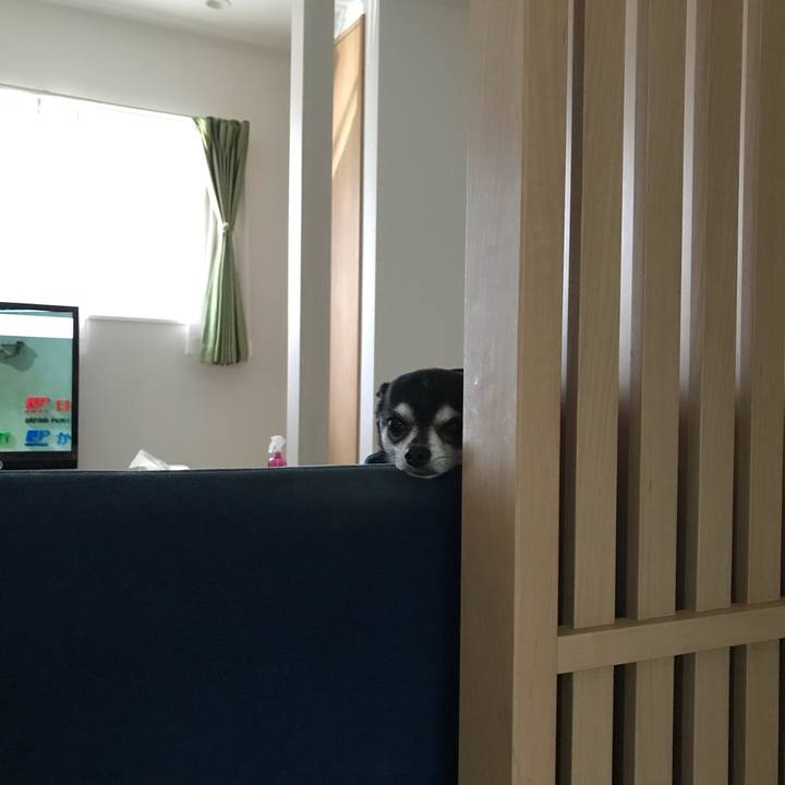 7f667996 768d 406d b613 38cc8f4cb8f3 1565140165418